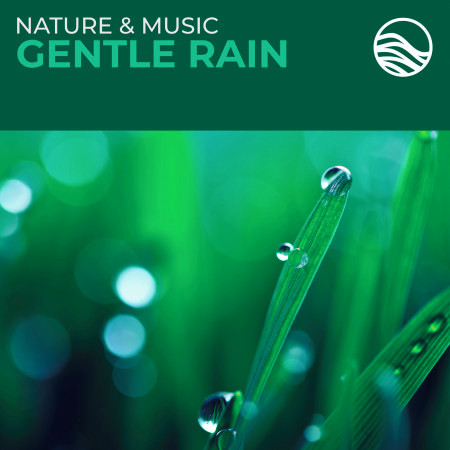 Prelude (Gentle Rain Album Version)