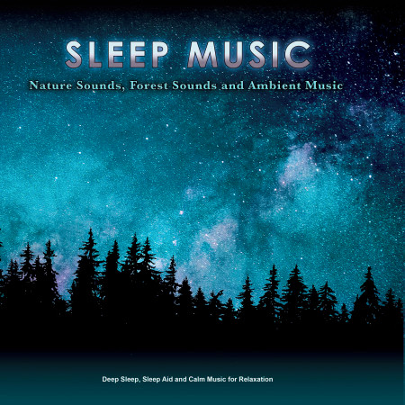 Sounds of a Zen Garden for Sleeping