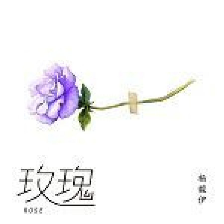玫瑰