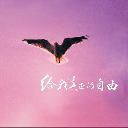 給我真正的自由