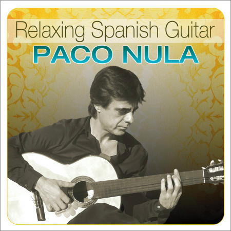 Killing Me Softly (Guitar Version)