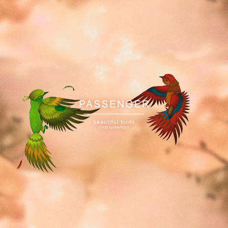 Beautiful Birds (Instrumental)