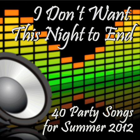 I Don't Want This Night to End: 40 Party Songs for Summer 2012