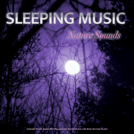 Deep Sleep and Forest Sounds