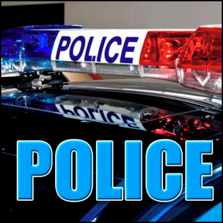 Police: Sound Effects