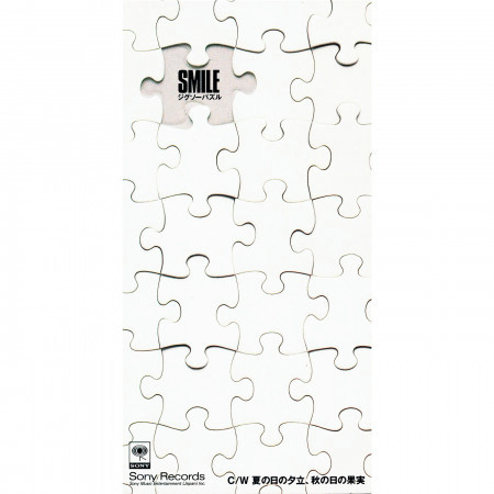 Jigsaw Puzzle