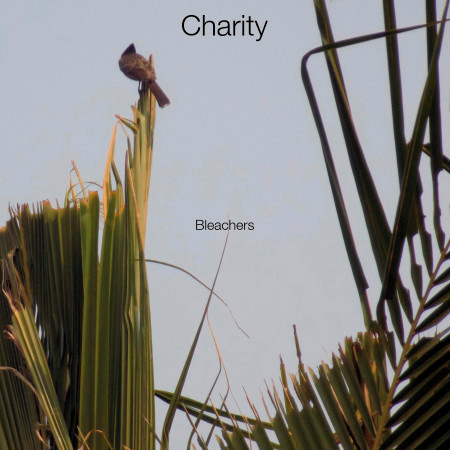 Charity 專輯封面