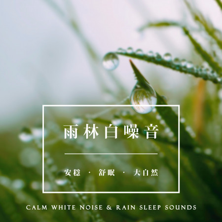雨林白噪音:安穩.舒眠.大自然 (Calm White Noise & Rain Sleep Sounds)