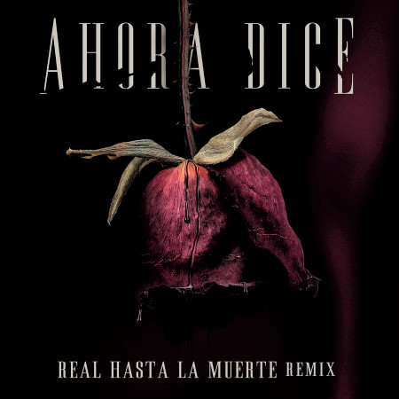 Ahora Dice (Real Hasta La Muerte Remix)