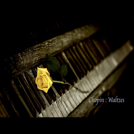 Chopin : Waltzes Piano