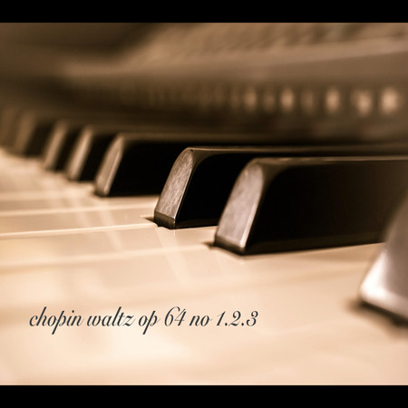Valse In D Flat Major, Op. 64 No. 1