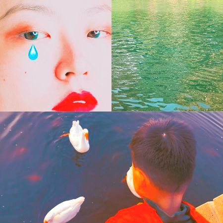 生命從無法被概括