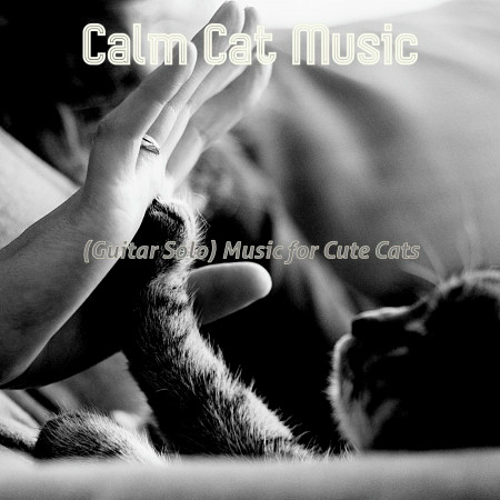 (Guitar Solo) Music for Cute Cats