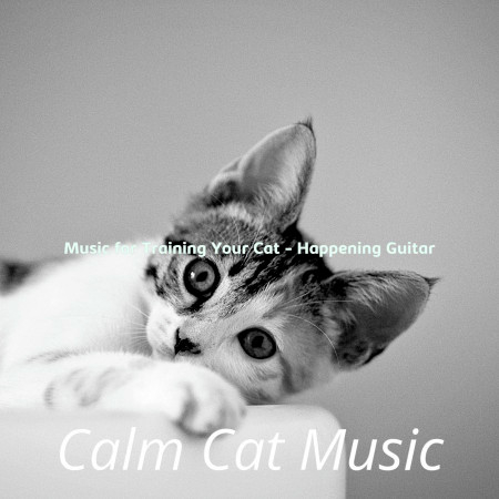 Music for Training Your Cat - Happening Guitar