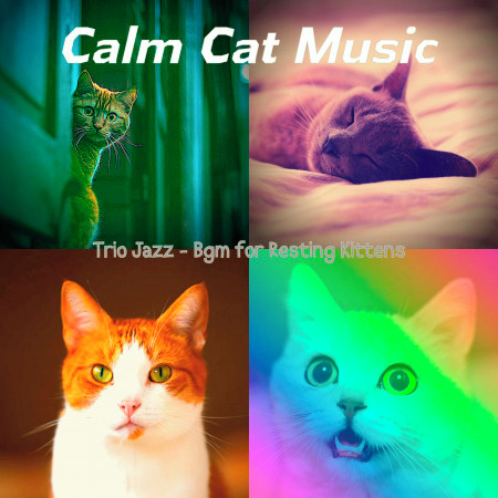 Grand Jazz Guitar Trio - Vibe for Cute Cats