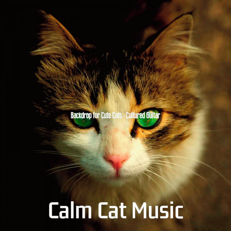 Breathtaking Music for Resting Kittens