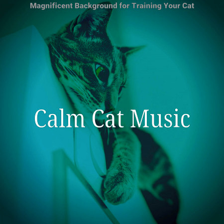 Cheerful Music for Cute Cats