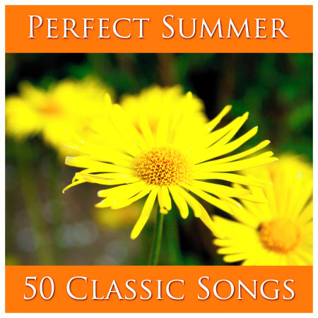 Perfect Summer: 50 Classic Songs