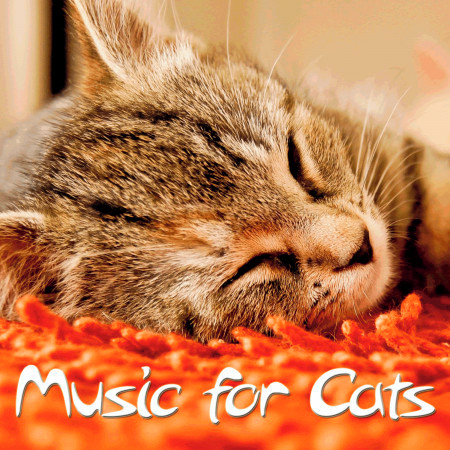 Music for Cats