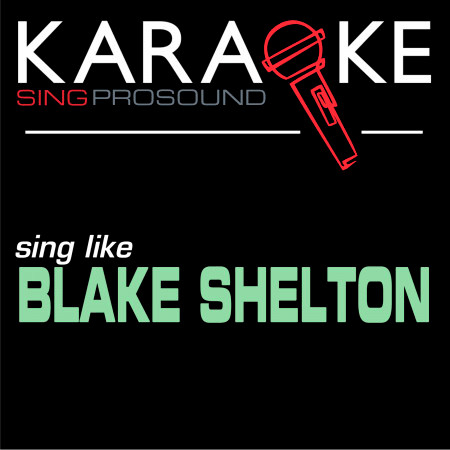 Karaoke in the Style of Blake Shelton