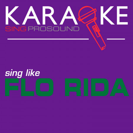 Karaoke in the Style of Flo Rida