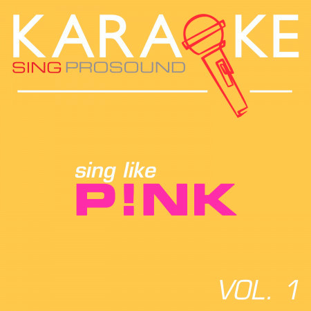 Catch 22 (In the Style of Pink) [Karaoke Instrumental Version]