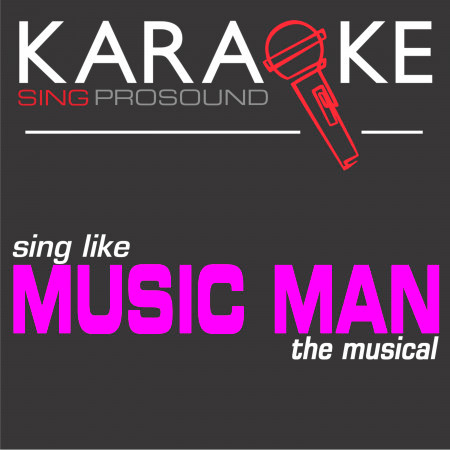 Karaoke in the Style of Music Man, The Musical