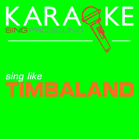 Karaoke in the Style of Timbaland