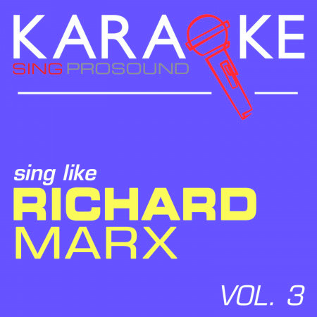 Karaoke in the Style of Richard Marx, Vol. 3