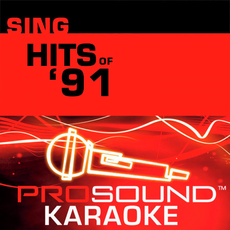 Sing Hits of '91 (Karaoke Performance Tracks)