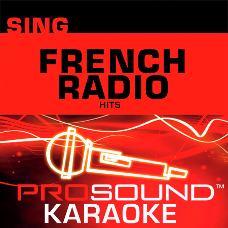 Sing French Radio Hits (Karaoke Performance Tracks)
