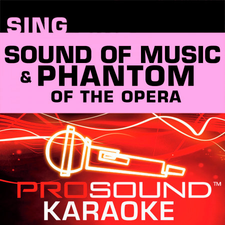 Angel Of Music (Karaoke Lead Vocal Demo) [In the Style of Phantom of the Opera]