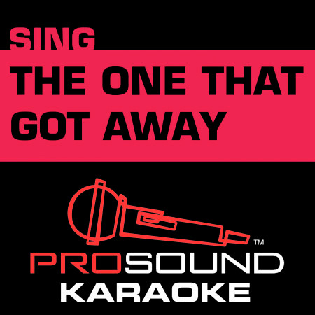 The One That Got Away (Karaoke Lead Vocal Demo) [In the Style of the Civil Wars]