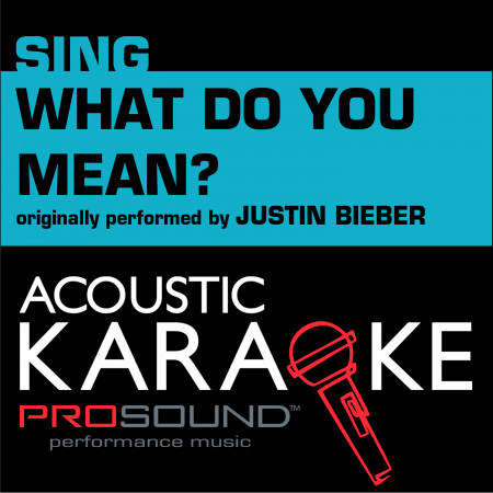 What Do You Mean (Originally Performed by Justin Bieber) [Female Karaoke Version]