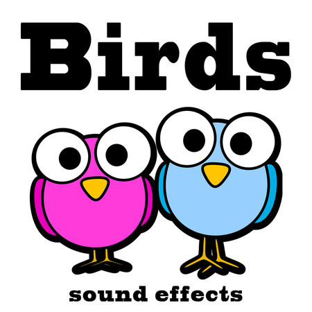 Birds Sound Effects Text Tones