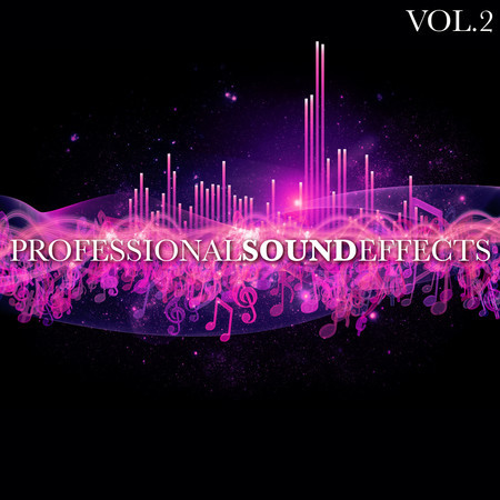 Professional Sound Effects Vol. 2 專輯封面