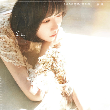 all the spotless mind