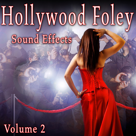 Hollywood Foley Sound Effects, Vol. 2