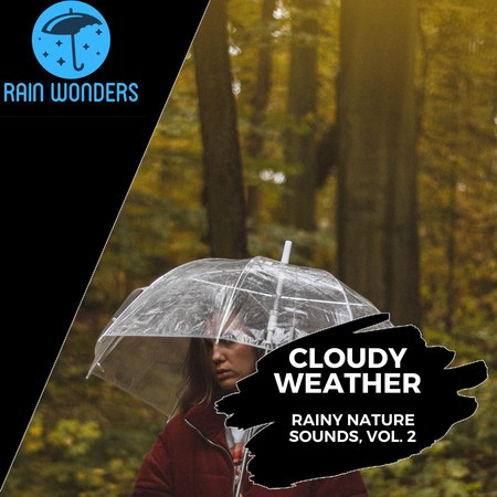 Cloudy Weather - Rainy Nature Sounds, Vol. 2