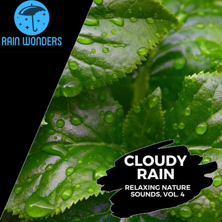 Cloudy Rain - Relaxing Nature Sounds, Vol. 4