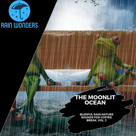 The Moonlit Ocean - Blissful Rain Nature Sounds for Coffee Break, Vol. 2