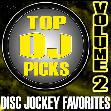 Top DJ Picks Volume 2 - Disc Jockey Favorites