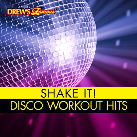 Shake It! Disco Workout Hits