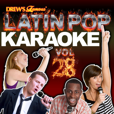 Latin Pop Karaoke, Vol. 28