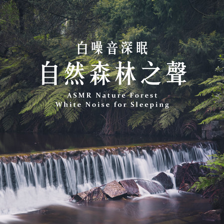 白噪音深眠：自然森林之聲 (ASMR Nature Forest White Noise for Sleeping) 專輯封面