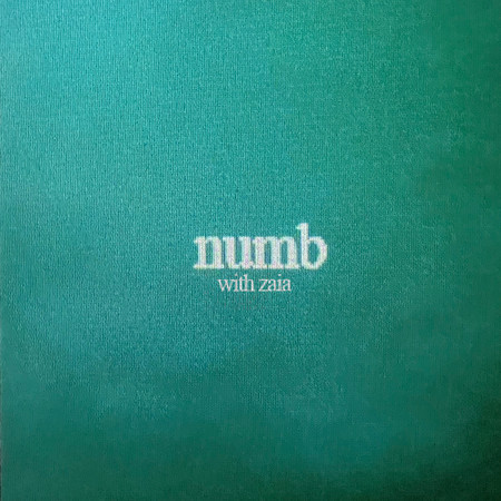 numb (feat. Zaia)