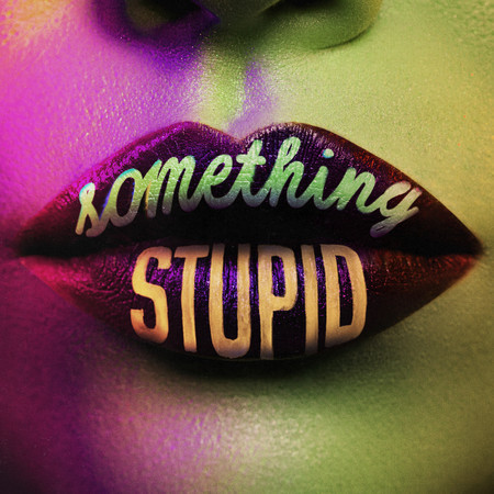 Something Stupid (KC Lights Remix) 專輯封面