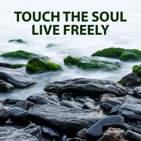 觸及心靈與感悟 Touch the Soul・Live Freely