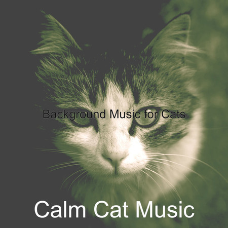 Groovy Moods for Cats