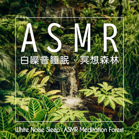 白噪音睡眠：ASMR冥想森林 (White Noise Sleep：ASMR Meditation Forest)